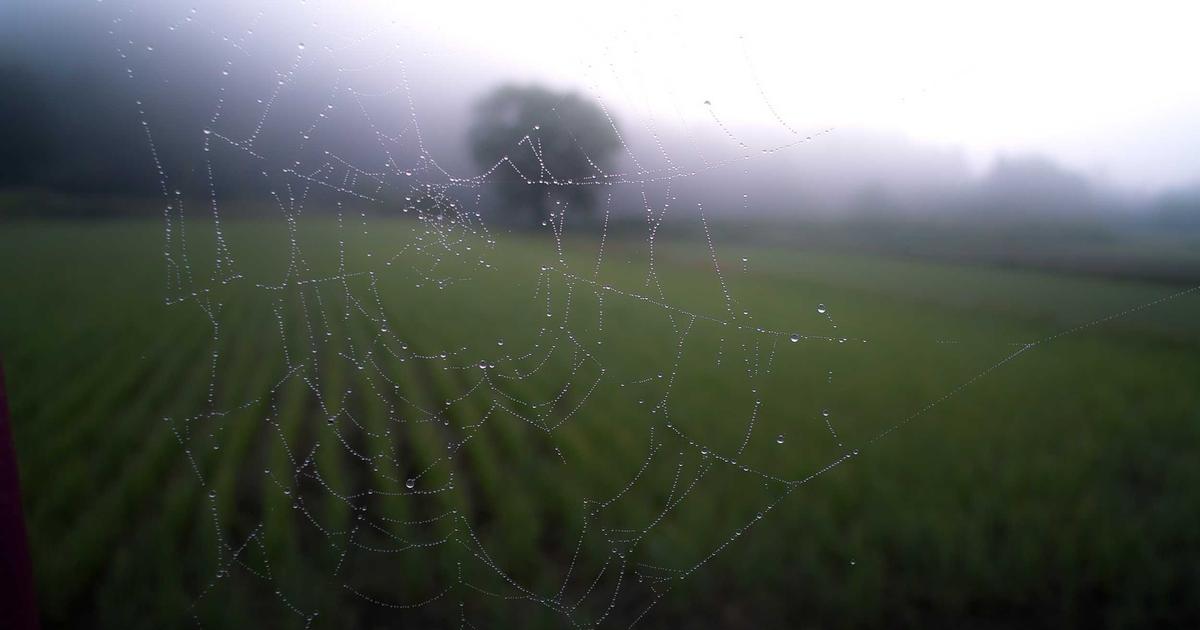 Prospection LinkedIn pour Santé & Pharmaceutique